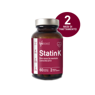 Statink K