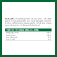 MORINGA