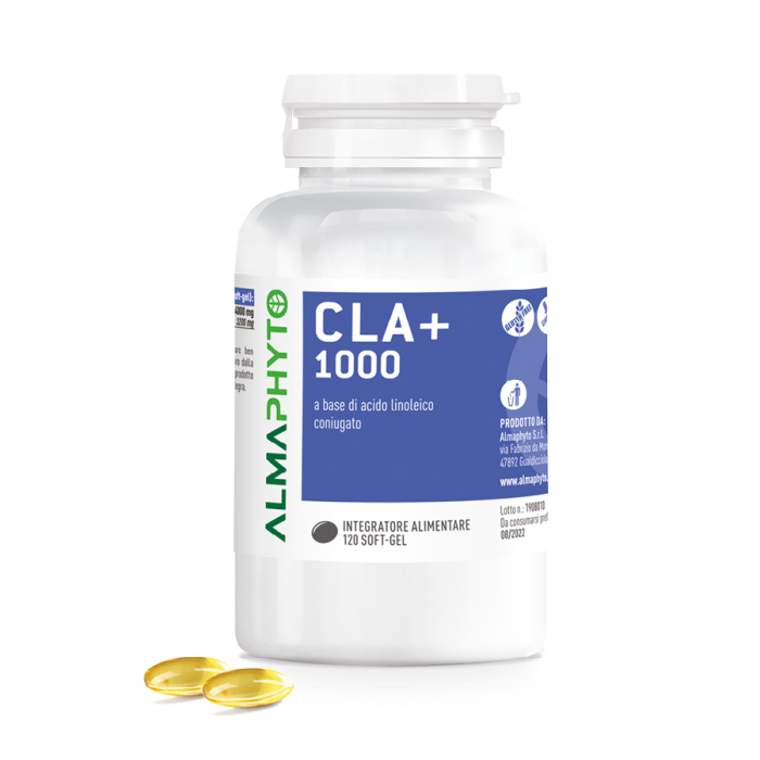 CLA+1000