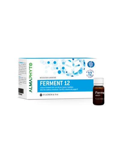 FERMENT 12