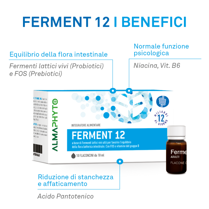 FERMENT 12