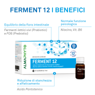 FERMENT 12