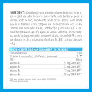 FERMENT 12