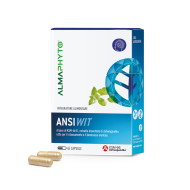 ANSIWIT