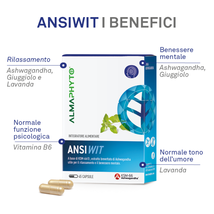ANSIWIT