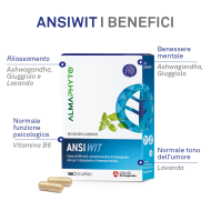 ANSIWIT