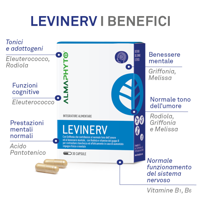 LEVINERV