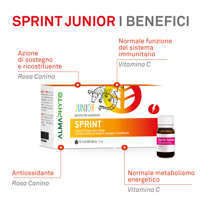 SPRINT JUNIOR