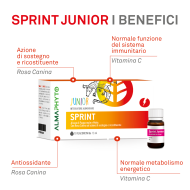SPRINT JUNIOR
