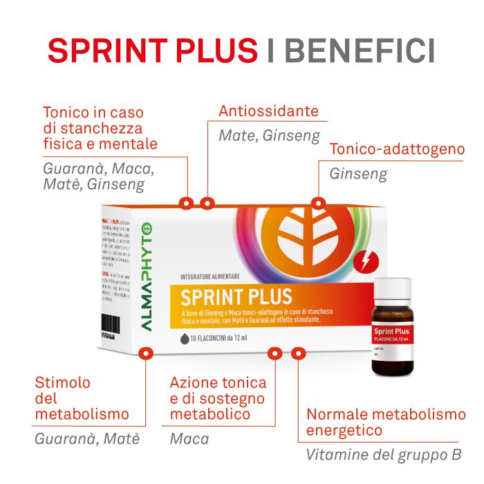 SPRINT PLUS