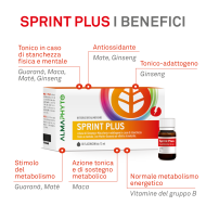 SPRINT PLUS