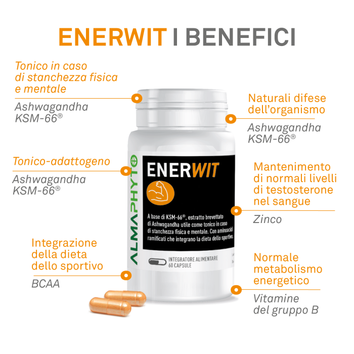 ENERWIT