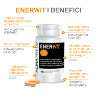 ENERWIT