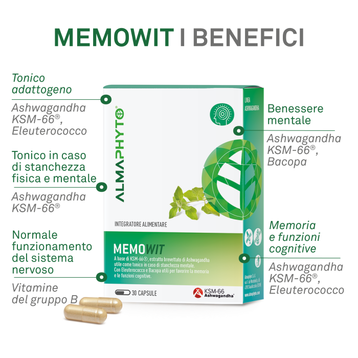 MEMOWIT