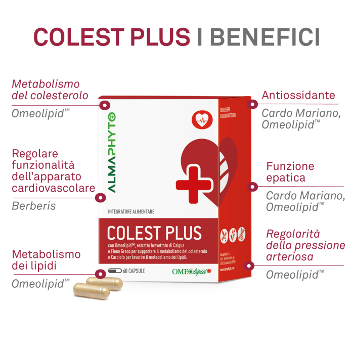 COLEST PLUS