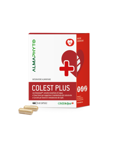 COLEST PLUS