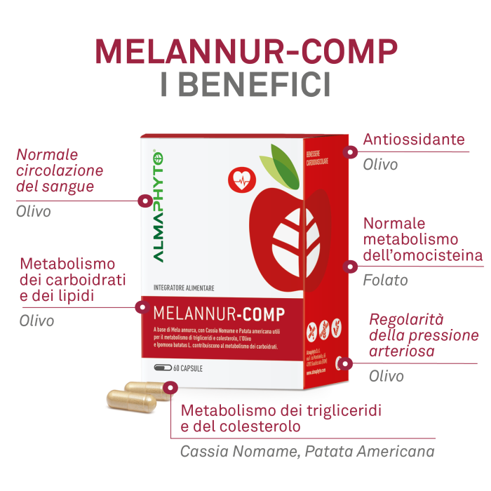 MELANNUR-COMP