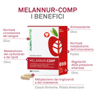 MELANNUR-COMP
