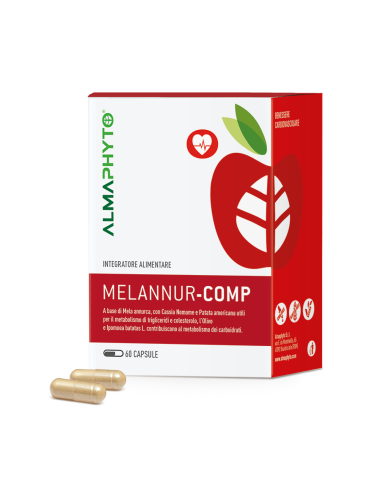 MELANNUR-COMP