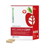 MELANNUR-COMP
