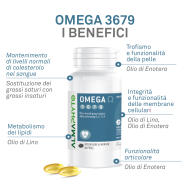 OMEGA 3679