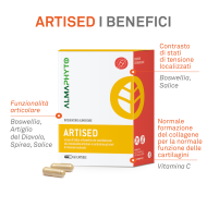 ARTISED