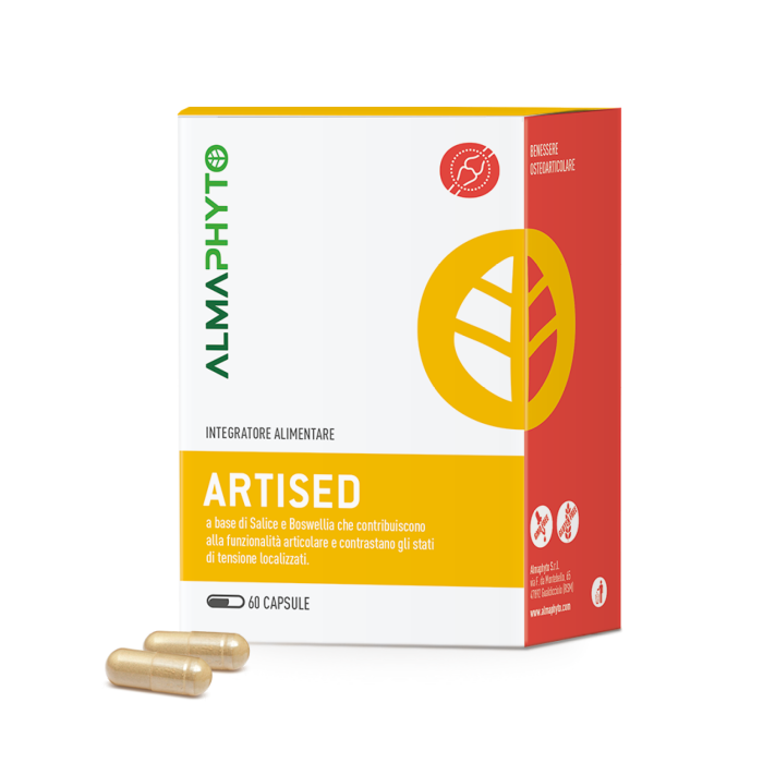 ARTISED