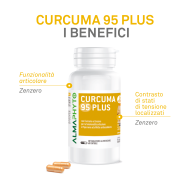 CURCUMA 95 PLUS