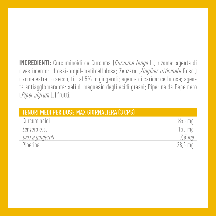 CURCUMA 95 PLUS