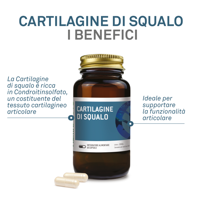 CARTILAGINE DI SQUALO