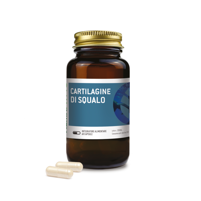 CARTILAGINE DI SQUALO