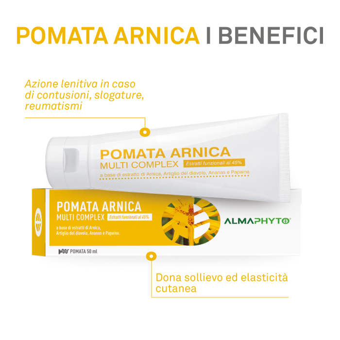 POMATA ARNICA MULTICOMPLEX