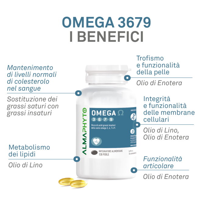 OMEGA 3679