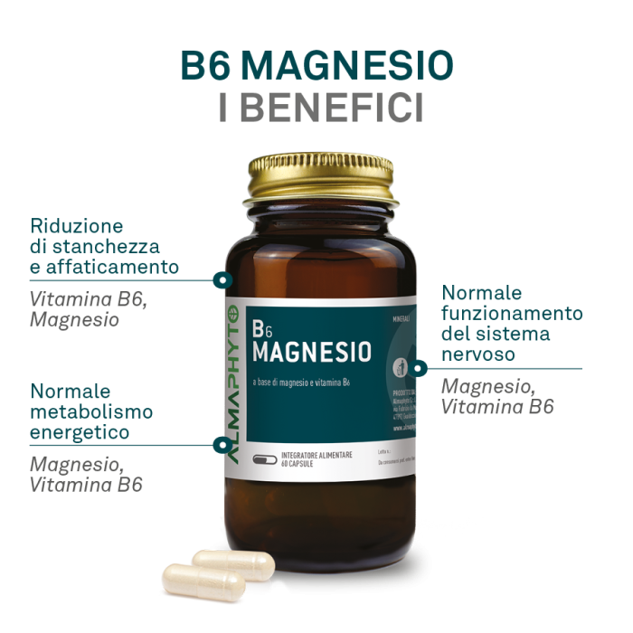 B6 MAGNESIO