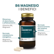 B6 MAGNESIO