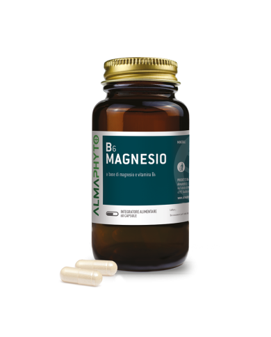 B6 MAGNESIO