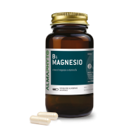 B6 MAGNESIO
