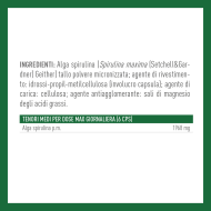 ALGA SPIRULINA