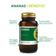 ANANAS