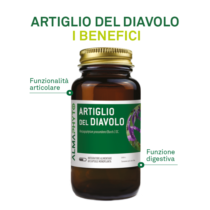 ARTIGLIO DEL DIAVOLO