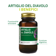 ARTIGLIO DEL DIAVOLO