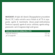 ARTIGLIO DEL DIAVOLO