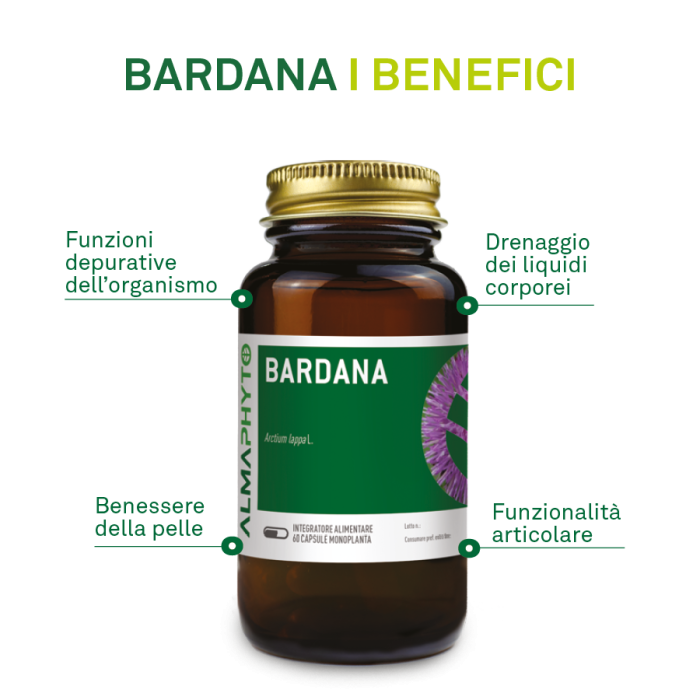 BARDANA