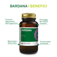 BARDANA