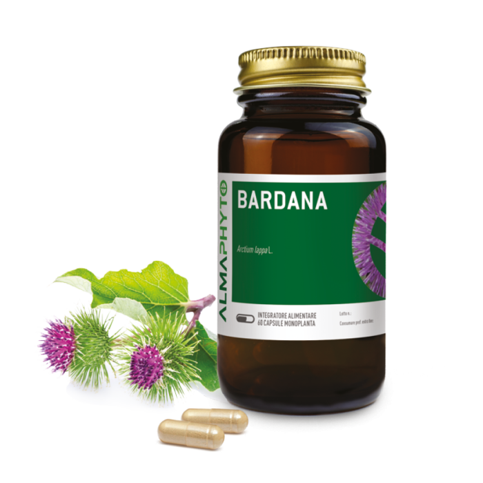 BARDANA