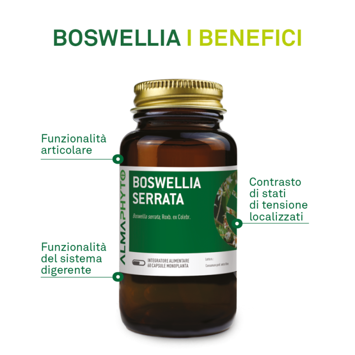 BOSWELLIA