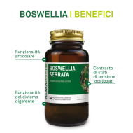 BOSWELLIA