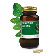 BOSWELLIA