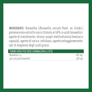 BOSWELLIA