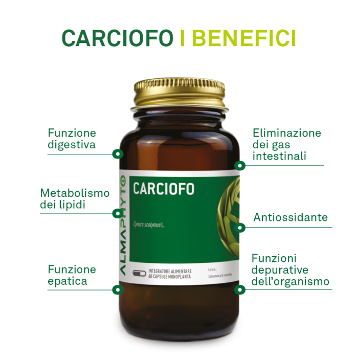 CARCIOFO